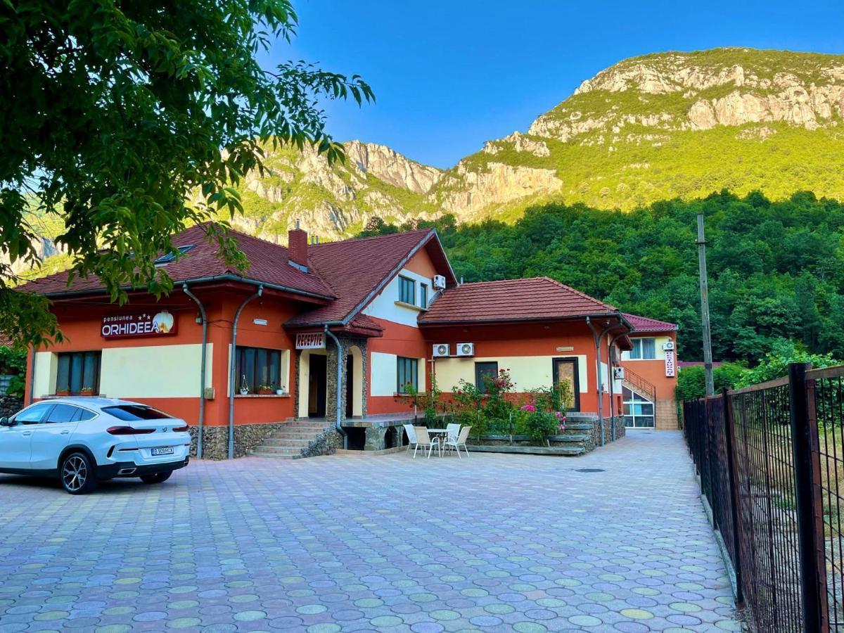 Pensiunea Orhideea Băile Herculane Exterior photo
